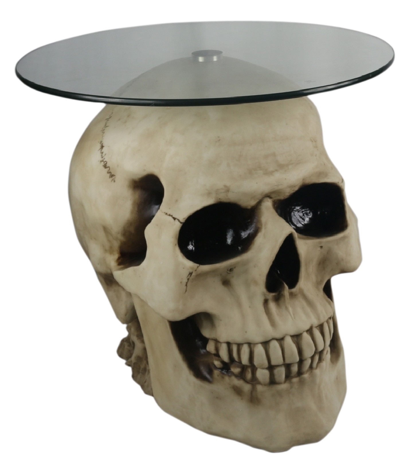 Skull Table Glass Top 56.5cm