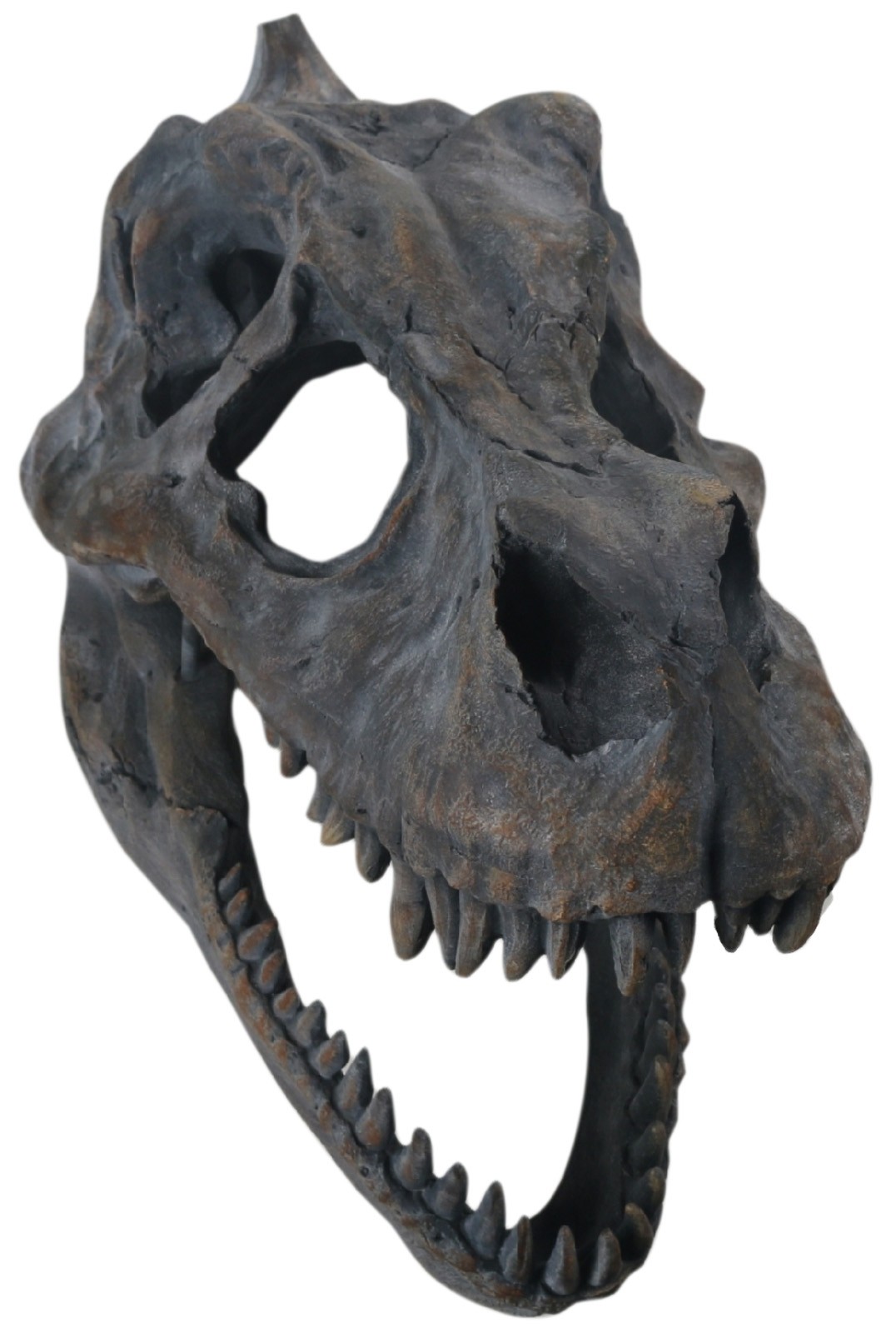 T-Rex Skull Wall Art 39.5cm