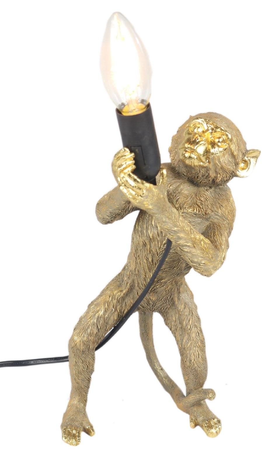 Gold Monkey Lamp + Free Bulb 30cm