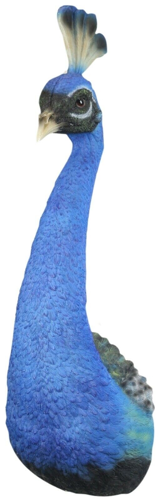 Male Peacock Head Wall Art 68cm