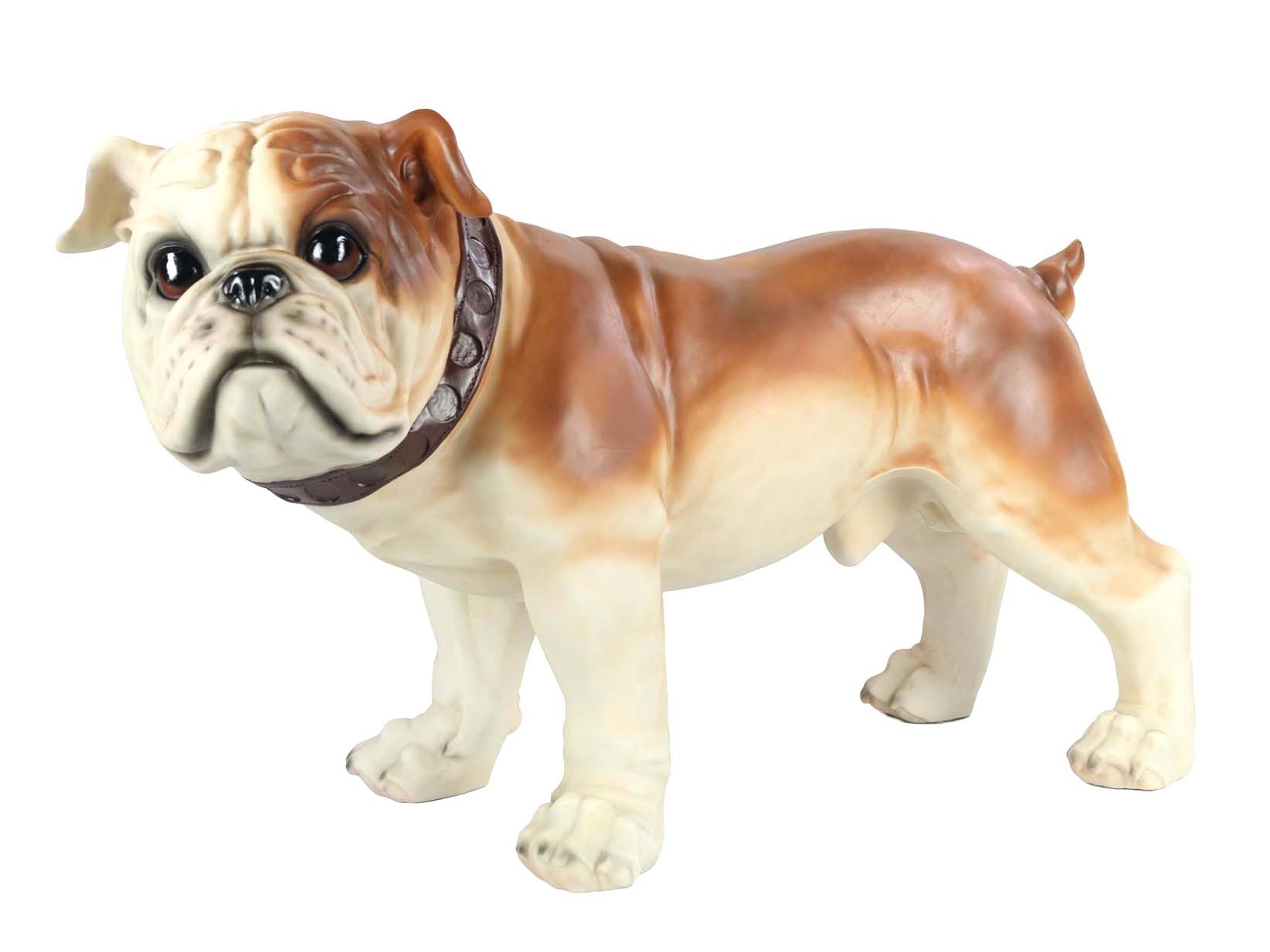 British Bulldog Standing 69.5cm