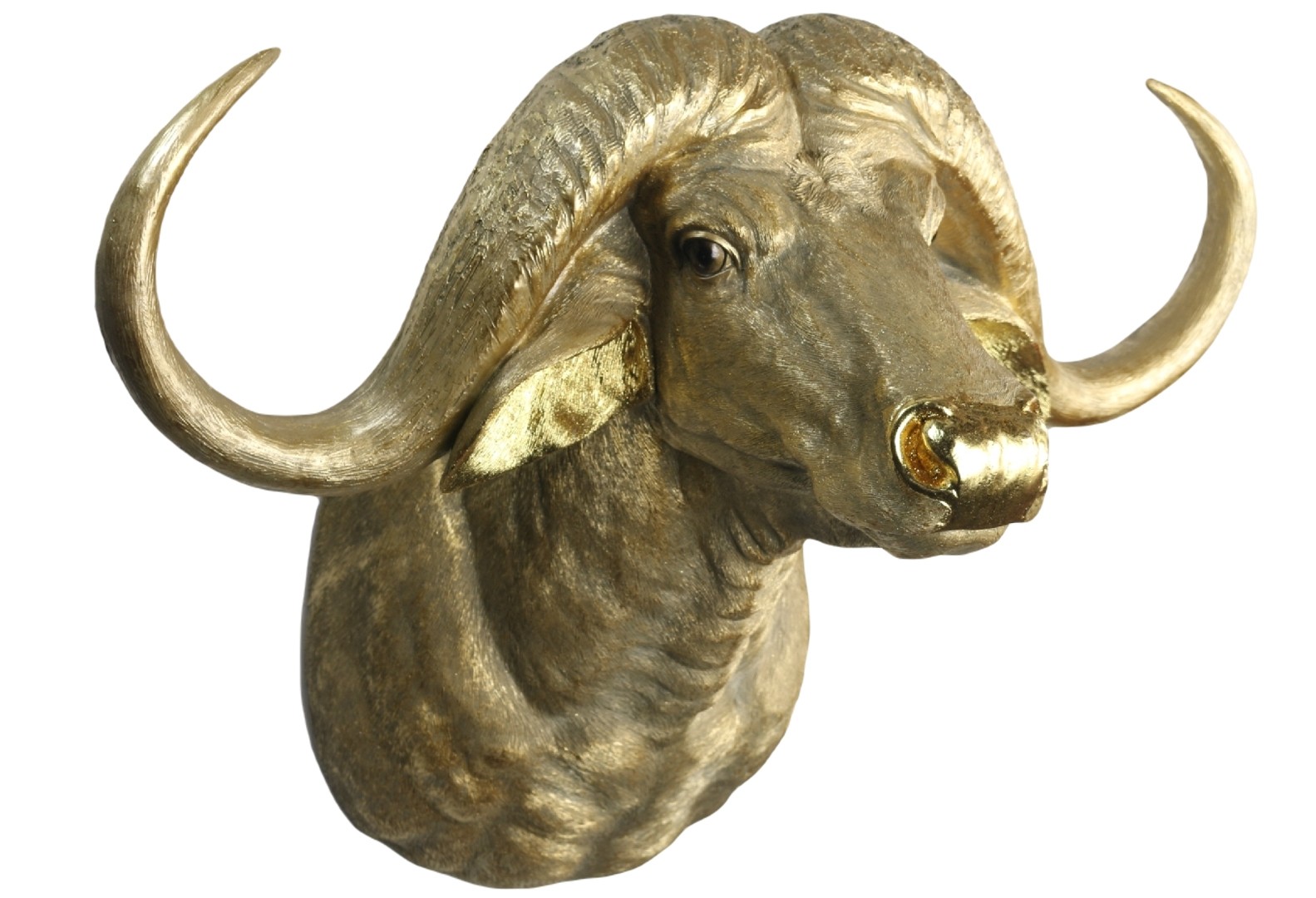 Gold Cape Buffalo Head Wall Art 60cm