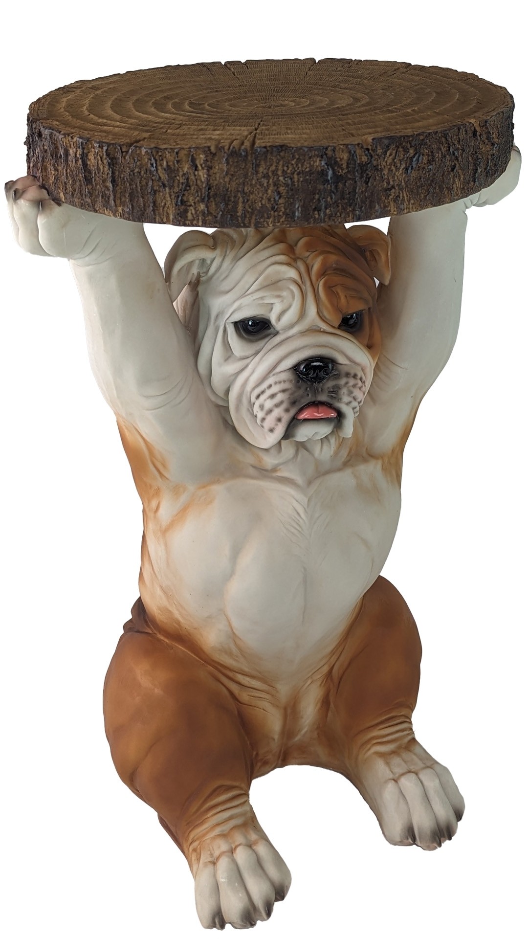 Bulldog Table 52cm