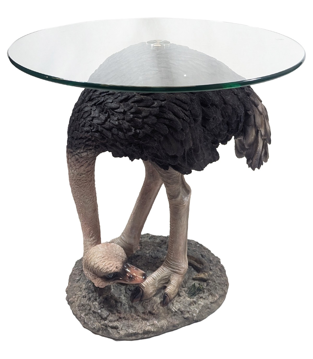 Ostrich Glass Top Table - 55cm