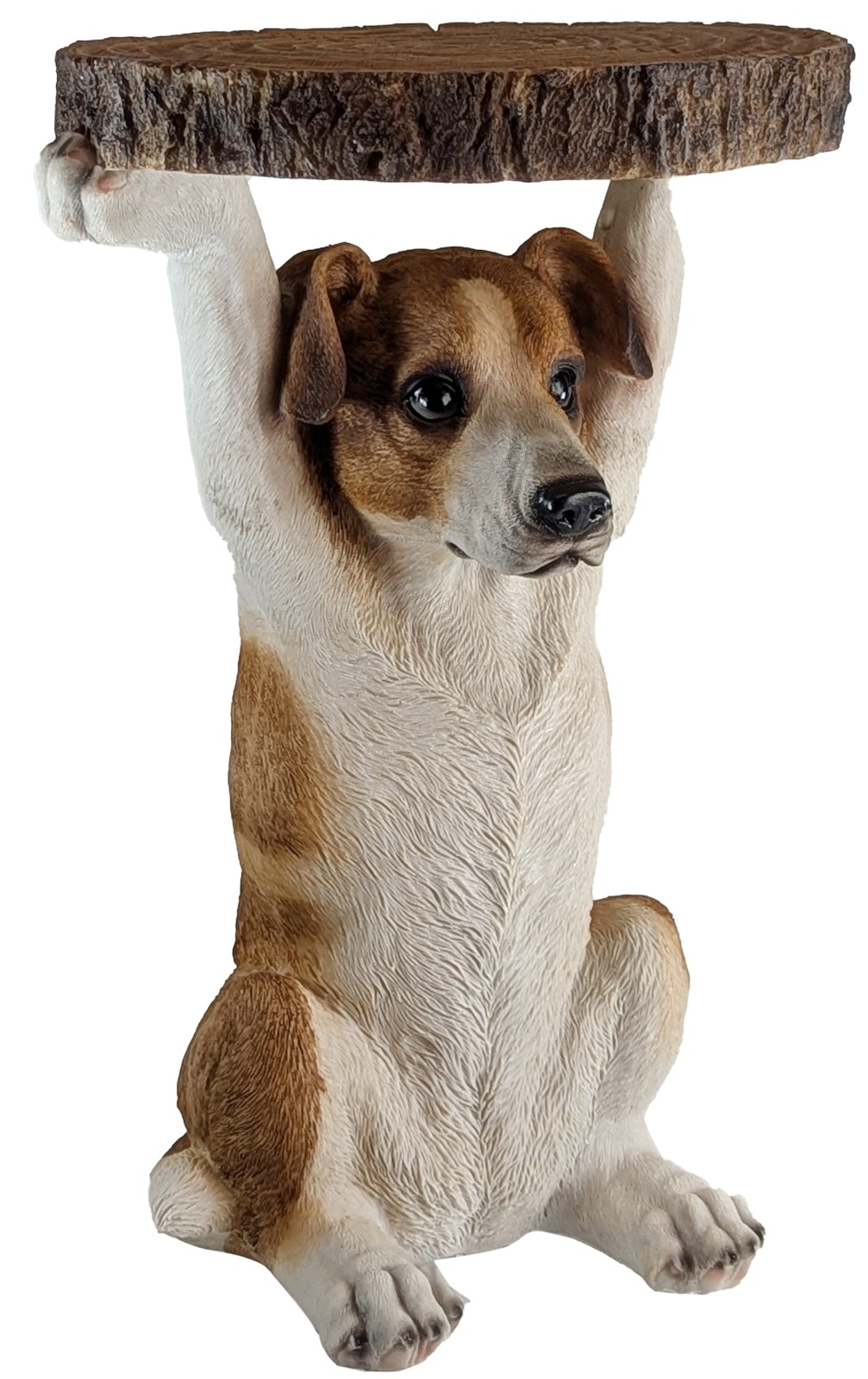Jack Russel Table - 52cm