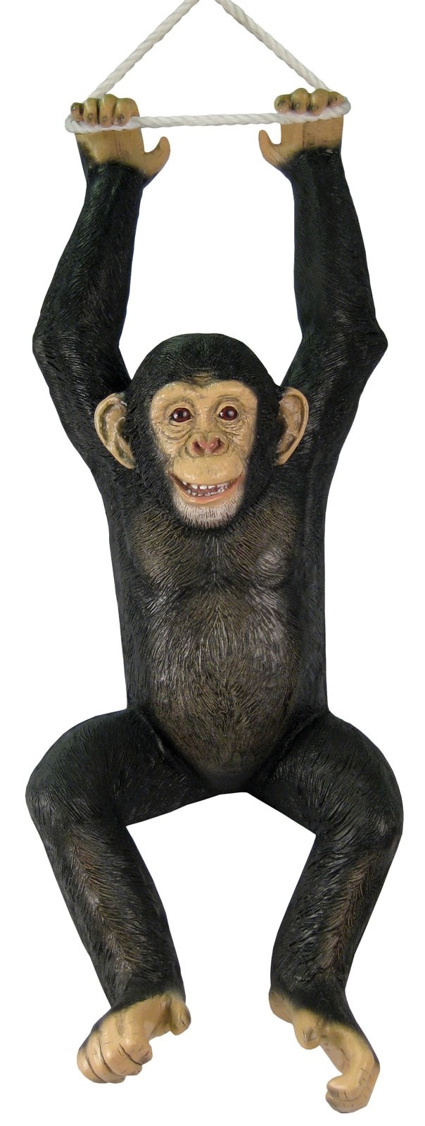 Hanging Monkey Chimpanzee