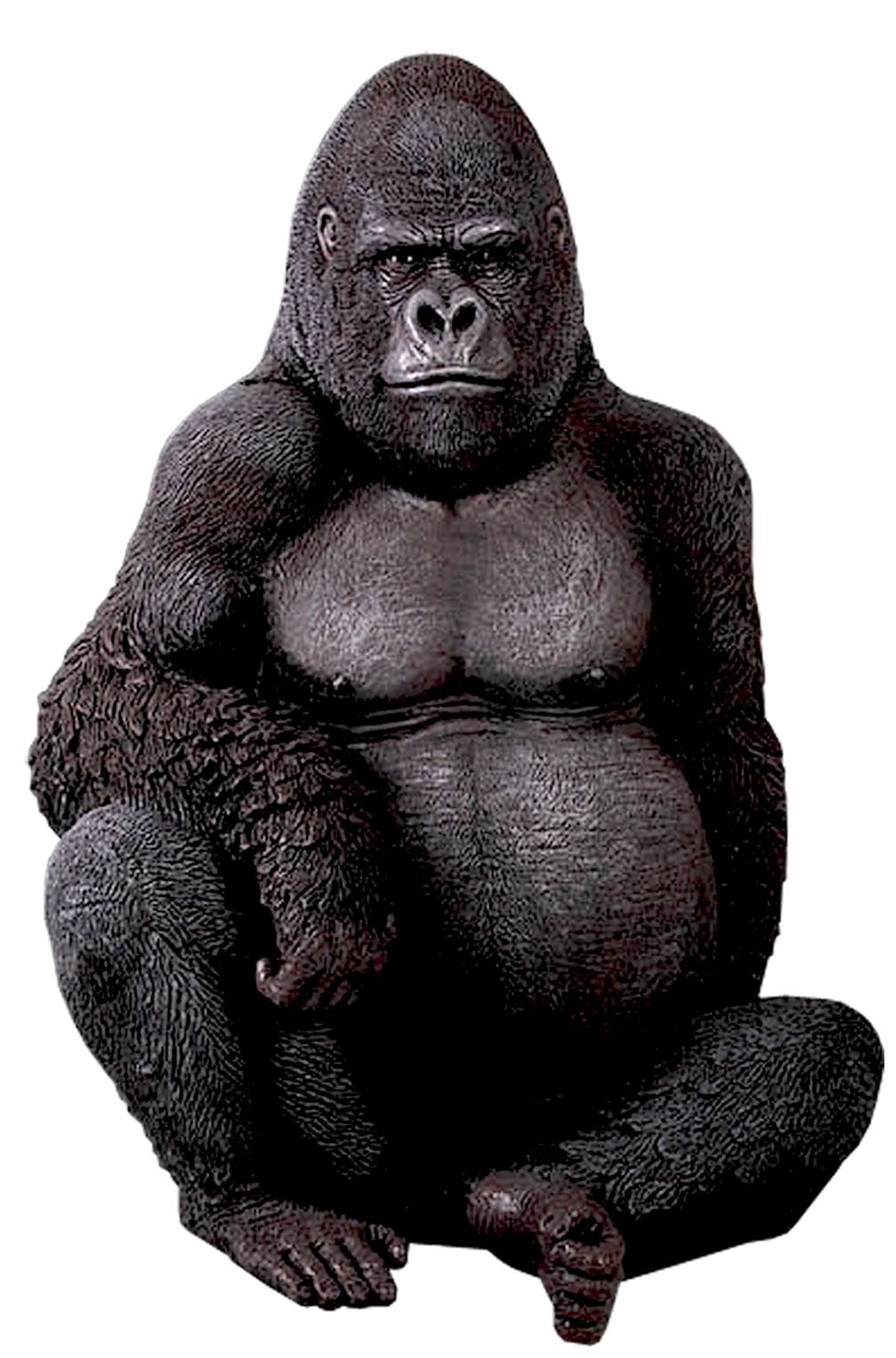 Silverback Gorilla