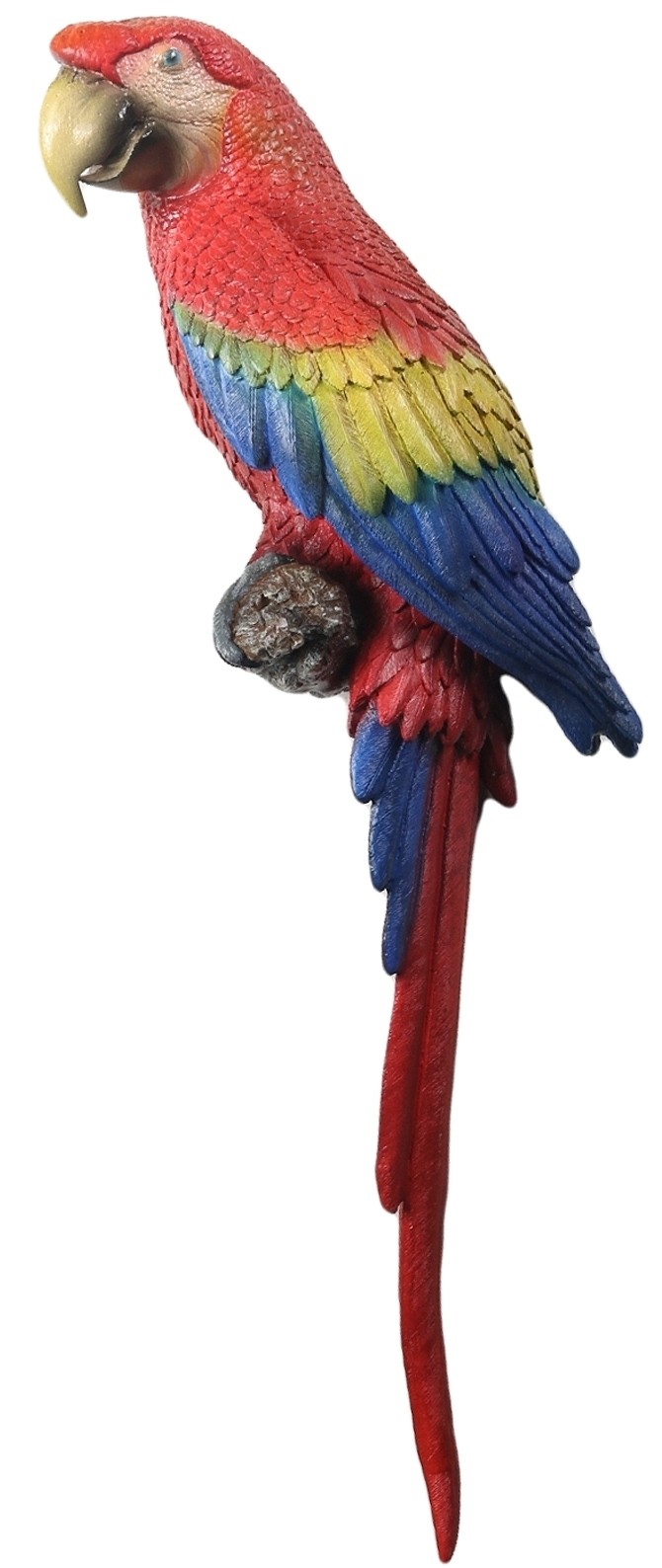 Scarlet Macaw Parrot  Wall Art 100cm 