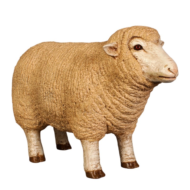 Merino Ewe Head Up - Small - 54cm 