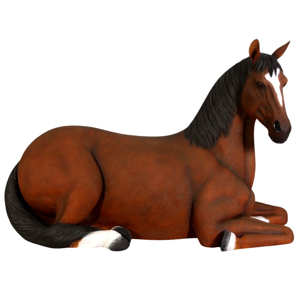 Brown Resting Horse  - 178cm
