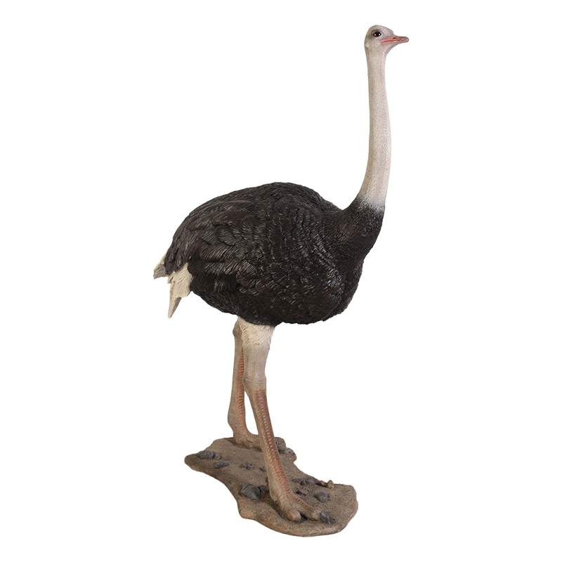Ostrich - 213cm