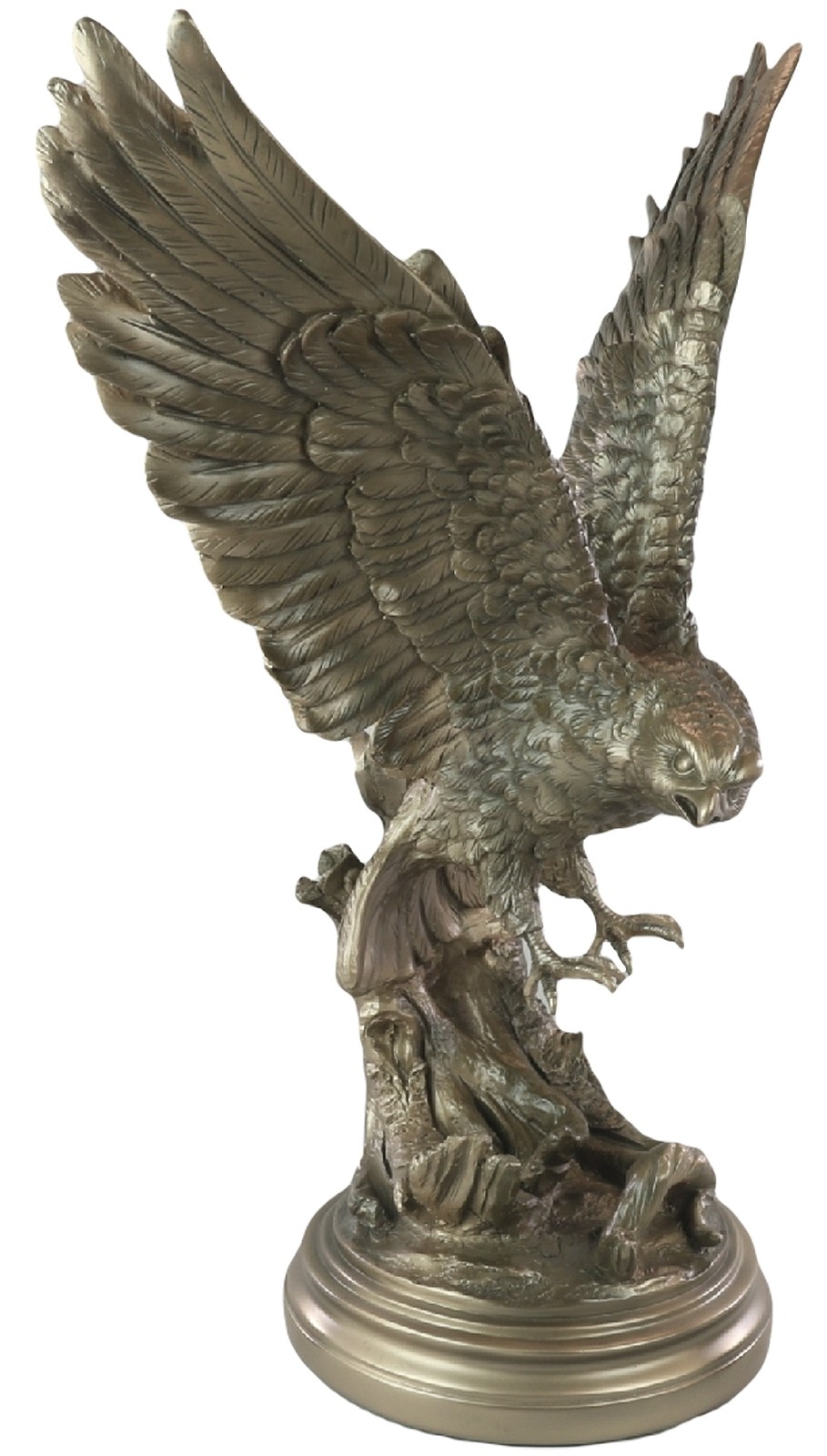 Bronze Eagle 52cm