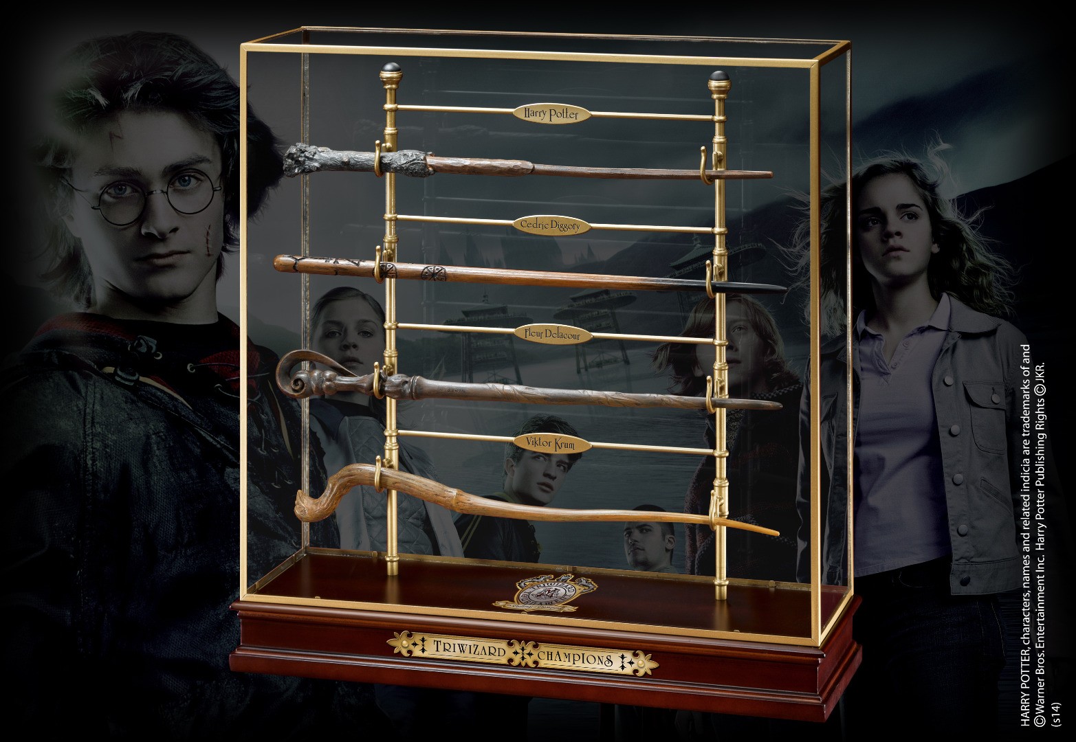 Triwizard Champion Wand Set