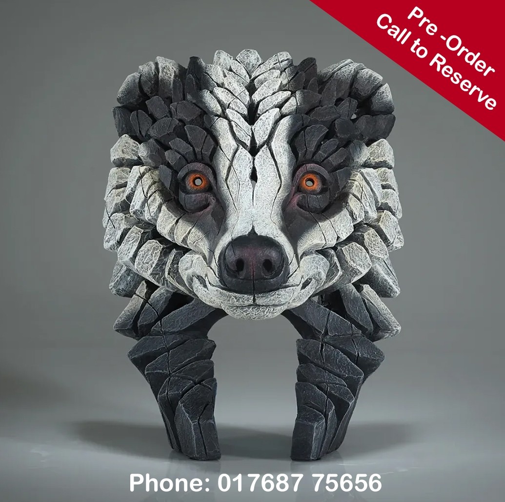 Badger Bust - 29cm -  (Pre Order - Estimated Delivery Mid-Late June)
