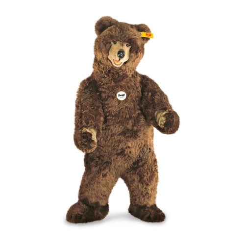 Studio Bear