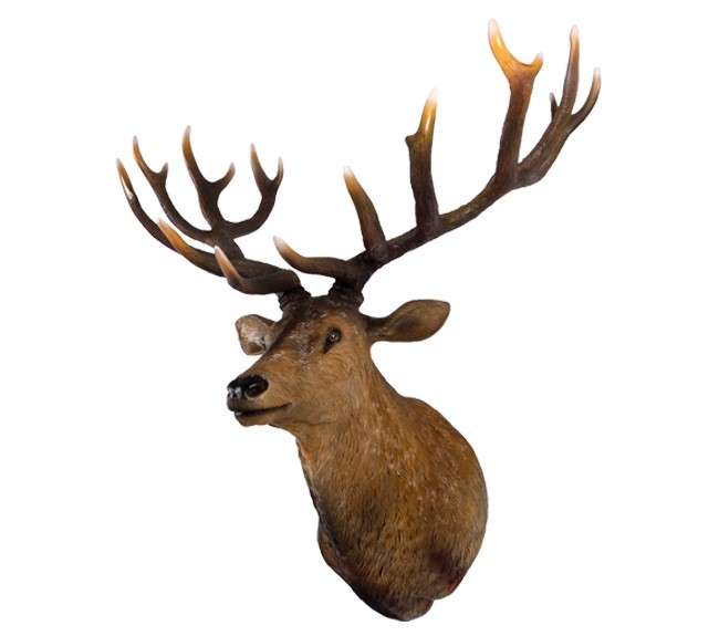 Grand Stag Head Wall Decor