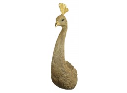 Peahen - Peacock Head Wall Art 68cm