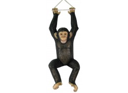 Hanging Monkey Chimpanzee