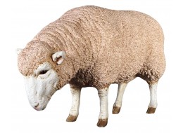 Merino Ewe / Sheep Resin Statue 96cm