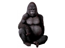 Silverback Gorilla