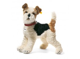 Foxy Fox Terrier