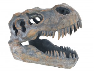T-Rex Skull 19.5cm