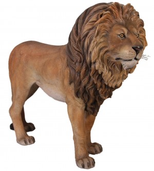 Lion King - 189cm
