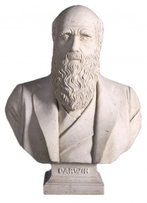 Charles Darwin Bust - Roman Stone Finish