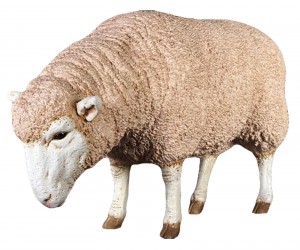 Merino Ewe / Sheep Resin Statue 96cm