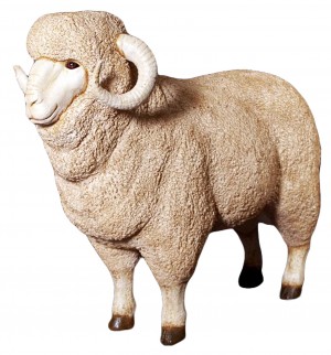 Merino Ram Resin Statue