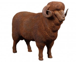 Merino Ram - 110cm - Rusty Finish