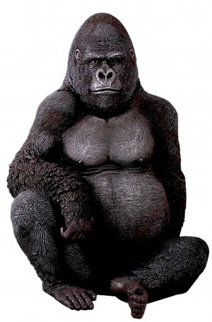 Silverback Gorilla
