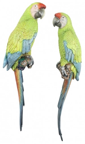 Pair Buffon's Macaw Parrots Wall Art 70cm