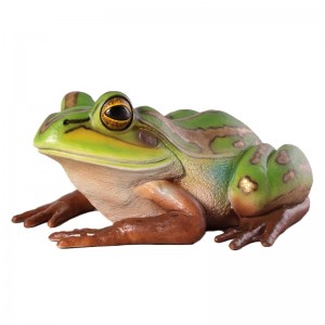 Giant Green And Golden Bell Frog - 84cm