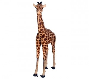 Baby Giraffe - 174cm