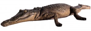Crocodile Resting - 131cm