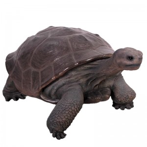 Galapagos Tortoise - 154cm