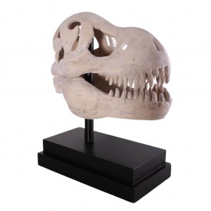 T-Rex Skull on Base - 57cm