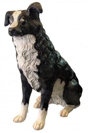 Border Collie Sitting Dog - 74cm