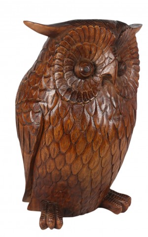 Hand Carved Suar Wood Owl 40cm