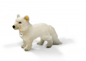 Studio Arctic Fox