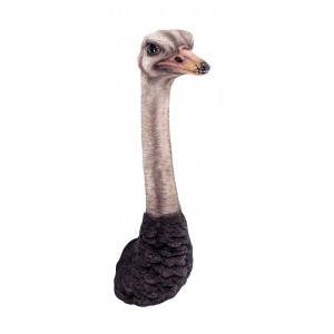 Ostrich Head Wall Art  72cm