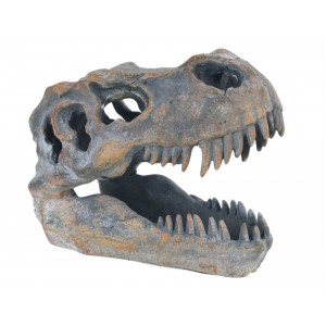 T-Rex Skull 19.5cm
