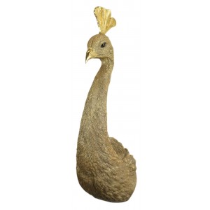 Peahen - Peacock Head Wall Art 68cm