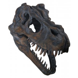 T-Rex Skull Wall Art 51.5cm