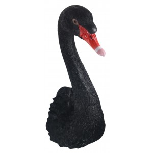 Black Swan Head Wall Art 57.5cm