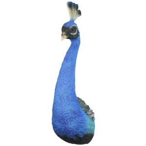 Male Peacock Head Wall Art 68cm