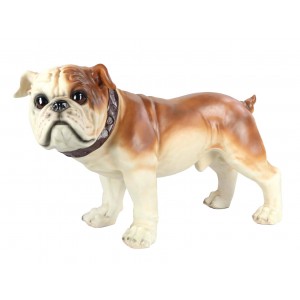 British Bulldog Standing 69.5cm