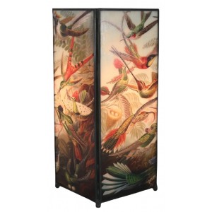 Haeckel Humming birds Square Lamp Screen Printed - 27cm + Free Bulbs