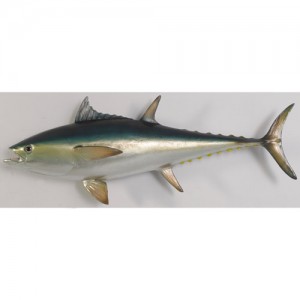 Bluefin Tuna Resin Wall Sculpture